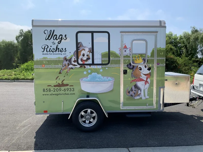 Wags to Riches Mobile Pet Grooming - Cat grooming in San Diego