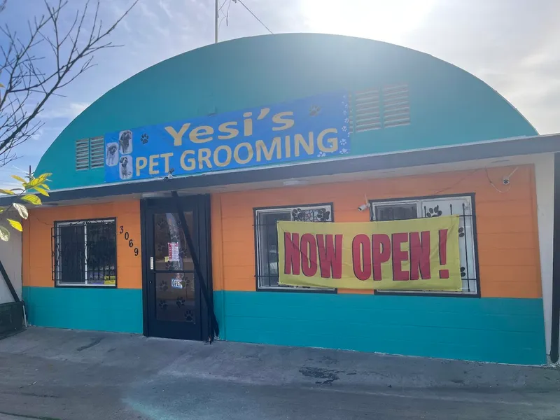 Yesi's Pet Grooming - Cat grooming in San Diego