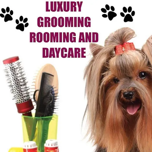 Luxury Grooming Rooming and Daycare - Cat grooming in Shreveport