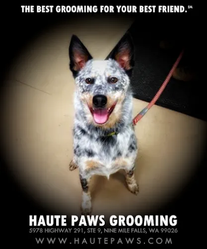 Haute Paws Grooming - Cat grooming in Nine Mile Falls