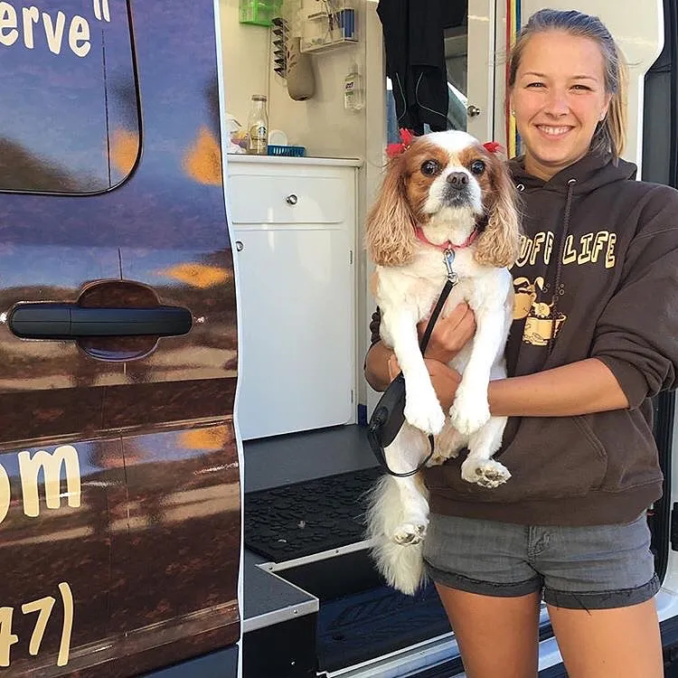 The Ruff Life Mobile Pet Grooming - Mobile cat grooming in Jacksonville, FL