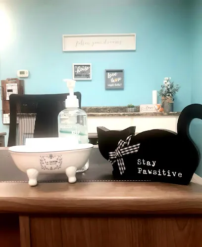 Shearly Pawsitive Grooming - Cat grooming in Prescott