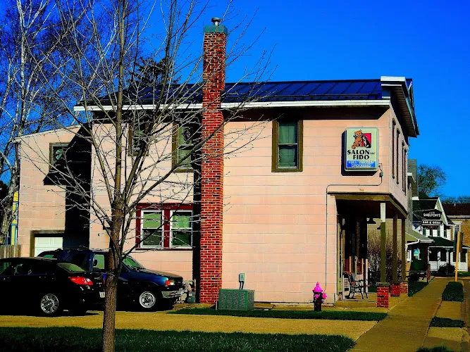 Salon Fido LLC - Cat grooming in Cross Plains