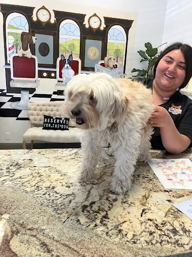 The Dawg House - Cat grooming in Carmel Valley