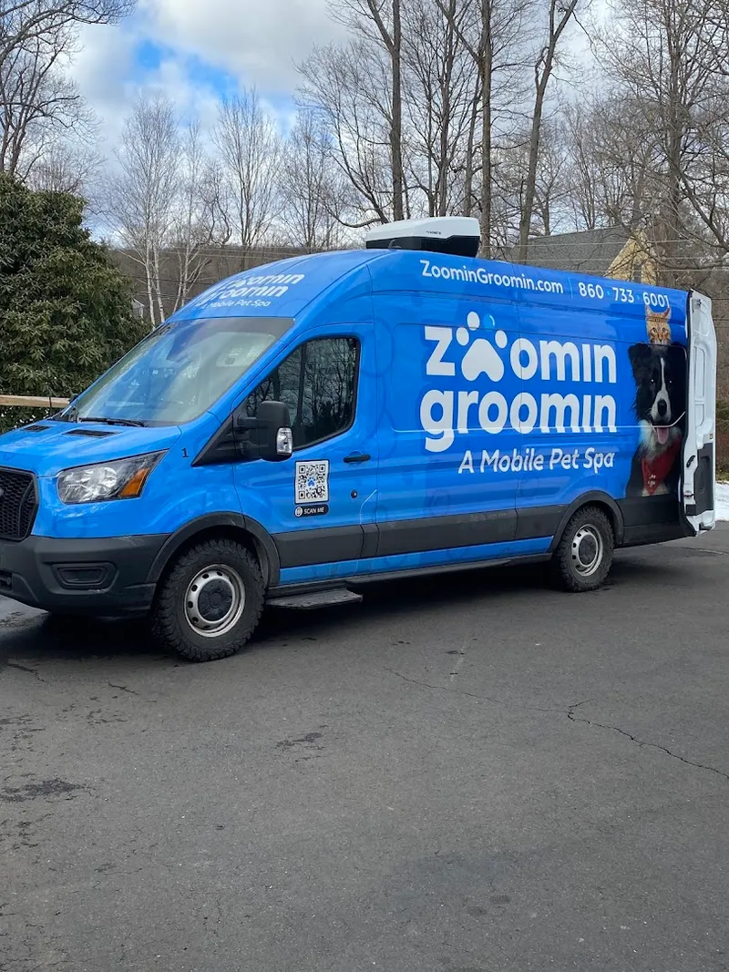 Zoomin Groomin - Mobile cat grooming in New York, NY