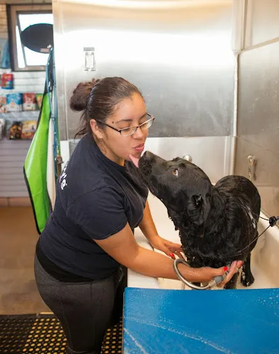 Mudpuppy's at Point Isabel Dog Park - Cat grooming in Richmond