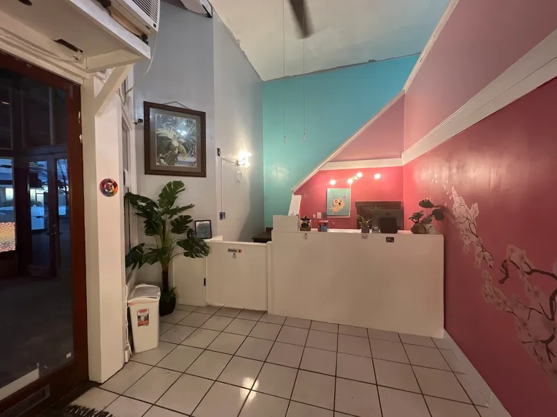 Kawaii Furry Tails - Cat grooming in Kapaʻa