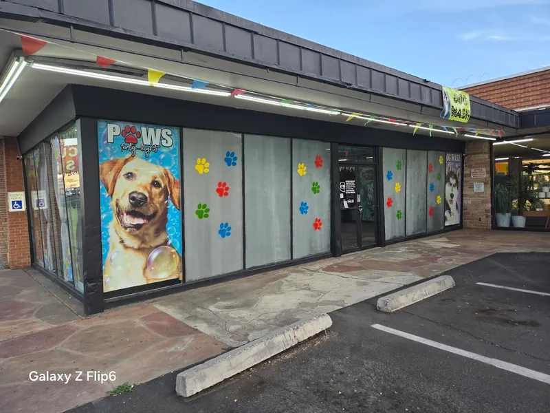 Paws 48 Dog Wash & Gym - Cat grooming in Phoenix