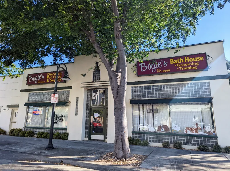Bogie's Discount Pet Food & Supplies - Cat grooming in Fremont