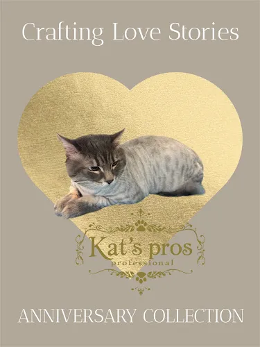Kat’s Professional Grooming/ LLC - Cat grooming in Holden Beach