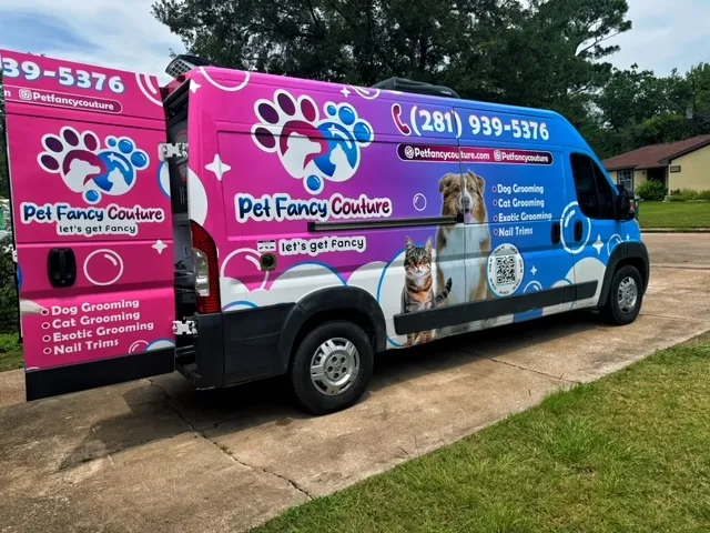Pet Fancy Couture Corp - Mobile cat grooming in Houston, TX