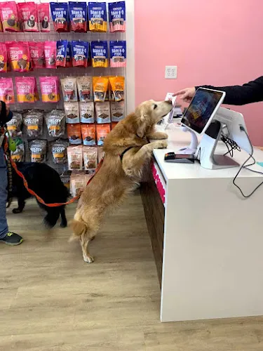 Woof Gang Bakery & Grooming Manlius - Cat grooming in Fayetteville