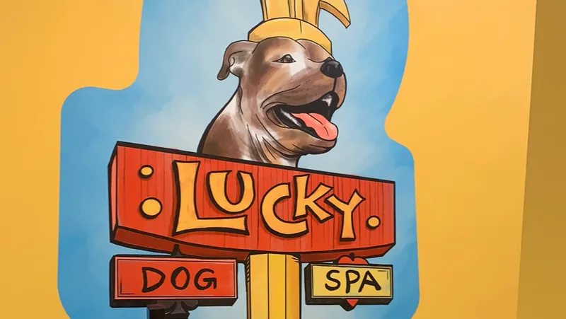 Lucky Dog Spa - Cat grooming in Phoenix