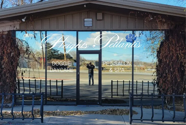 Heights Petlantis - Professional cat grooming in Billings, MT