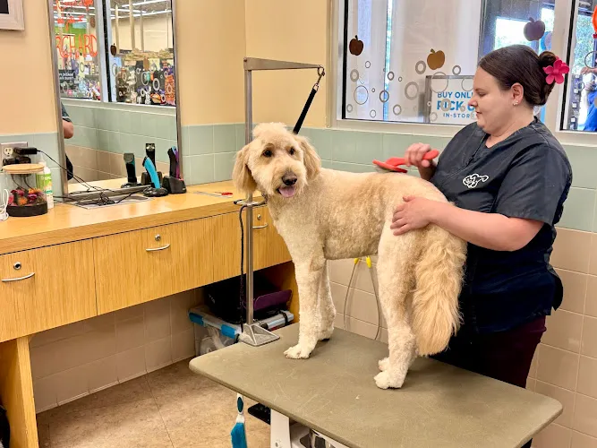 Petco Grooming - Cat grooming in Livermore