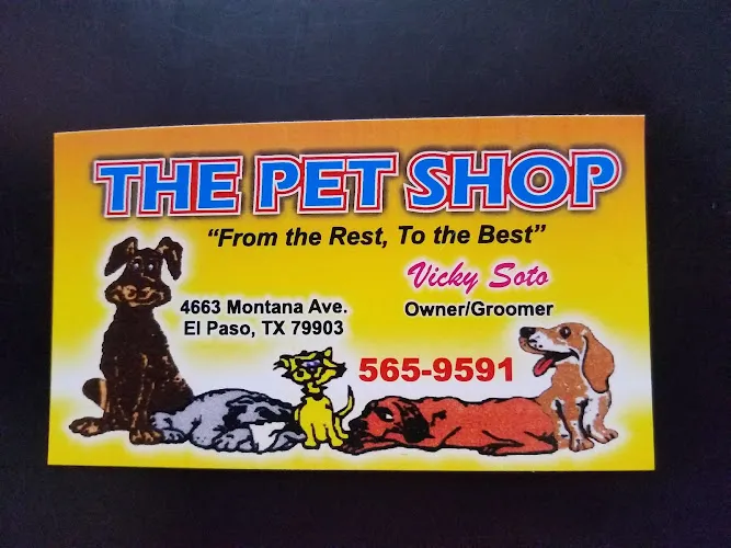 The Pet Shop - Cat grooming in El Paso