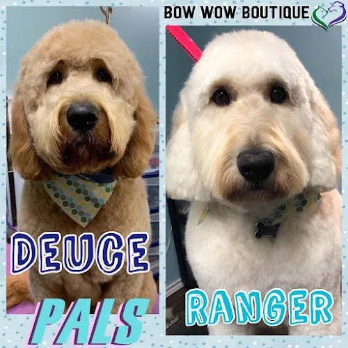 Bow Wow Pet Spa - Mobile cat grooming in Anna, TX