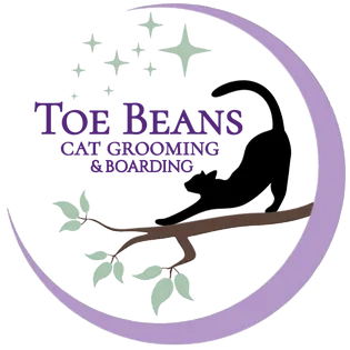 Toe Beans - Cat grooming in Tulsa