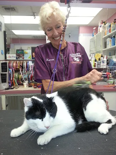 Doggie Grooming Styles LG - Cat grooming in Los Gatos