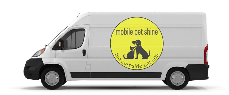 Mobile Pet Shine - Cat grooming in Denver