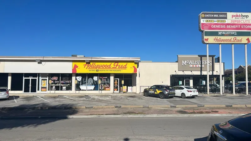 Hollywood Feed - Cat grooming in Dallas