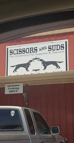 Scissors & Sud's Pet Grooming - Cat grooming in Liberty