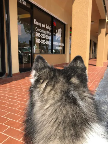 Kenny & Dolly's Grooming Place - Cat grooming in Miami