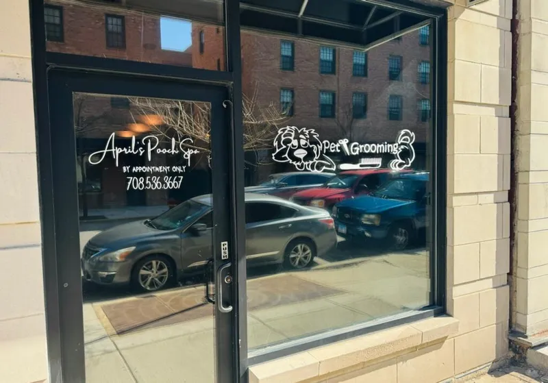April's Pooch Spa - Mobile cat grooming in Chicago, IL