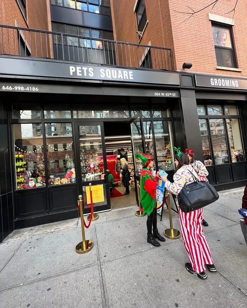 Pets Square - Mobile cat grooming in New York, NY