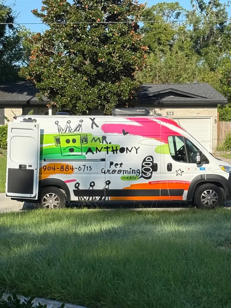 Mr Anthony Pet Grooming Mobile - Cat grooming in San Antonio