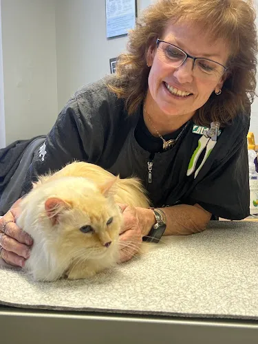 Pretty Pooch & Kitty Too! LLC - Mobile cat grooming in Farmington, NM