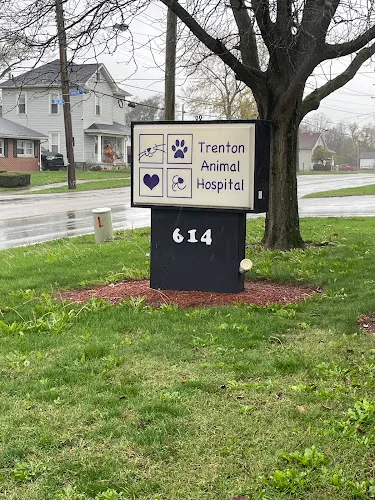Grooming Tails - Mobile cat grooming in Trenton, OH