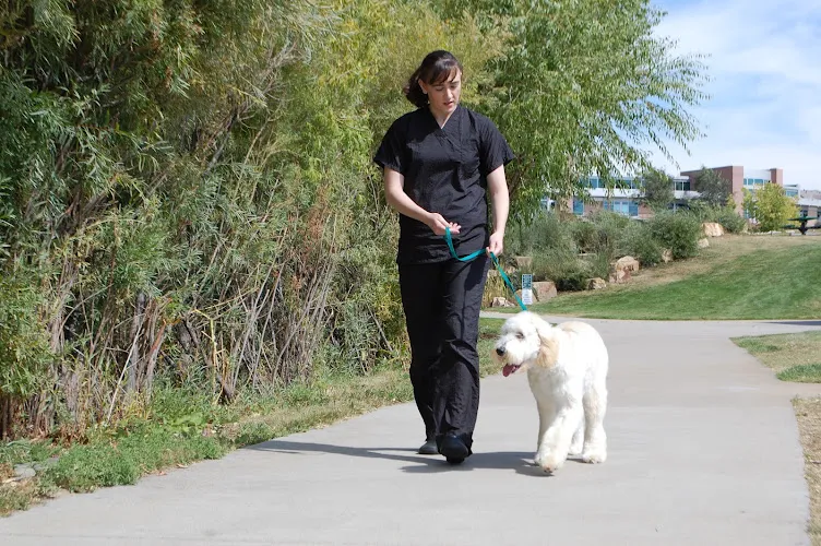 Serenity Paws - Cat grooming in Colorado Springs
