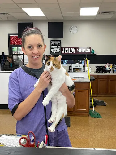 Avalon Pet Salon - Mobile cat grooming in Grand Rapids, MI