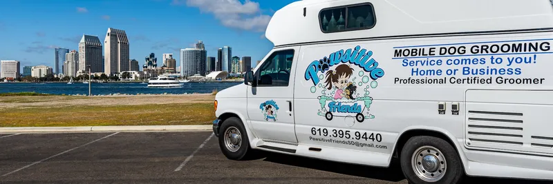 Pawsitive Friends - Cat grooming in San Diego