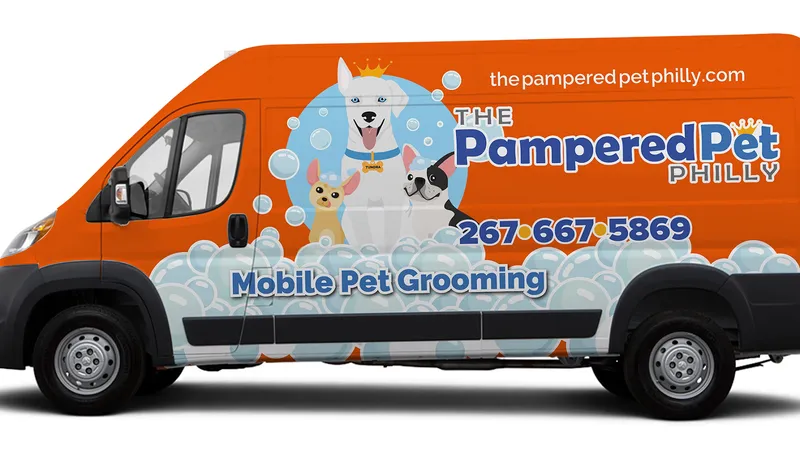 The Pampered Pet Philly - Mobile cat grooming in Philadelphia, PA