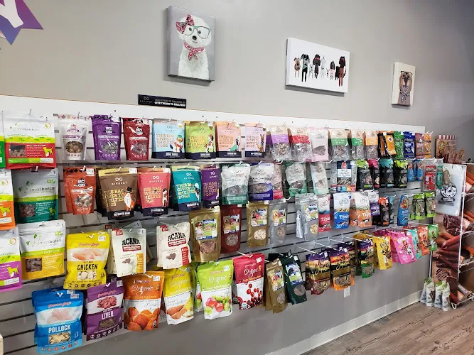 Furry Friends Inc. - Cat grooming in Colorado Springs