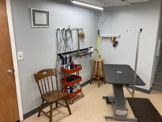 Scruffy Pups LLC - Professional cat grooming in Coopersville, MI