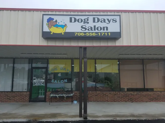 Dog Days Salon - Mobile cat grooming in Harlem, GA