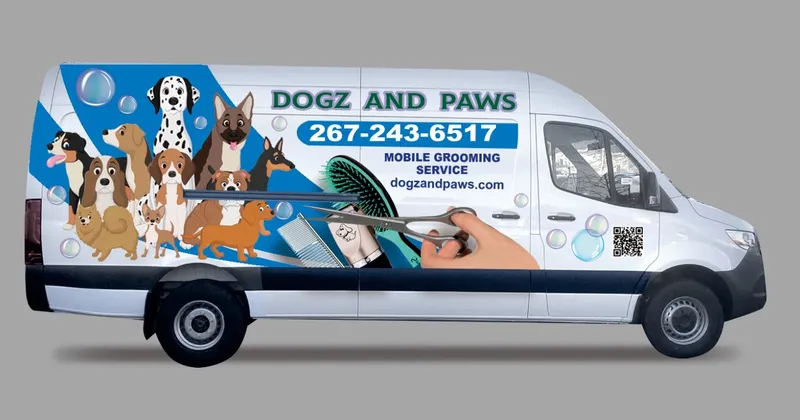 Dogz and Paws - Cat grooming in Philadelphia