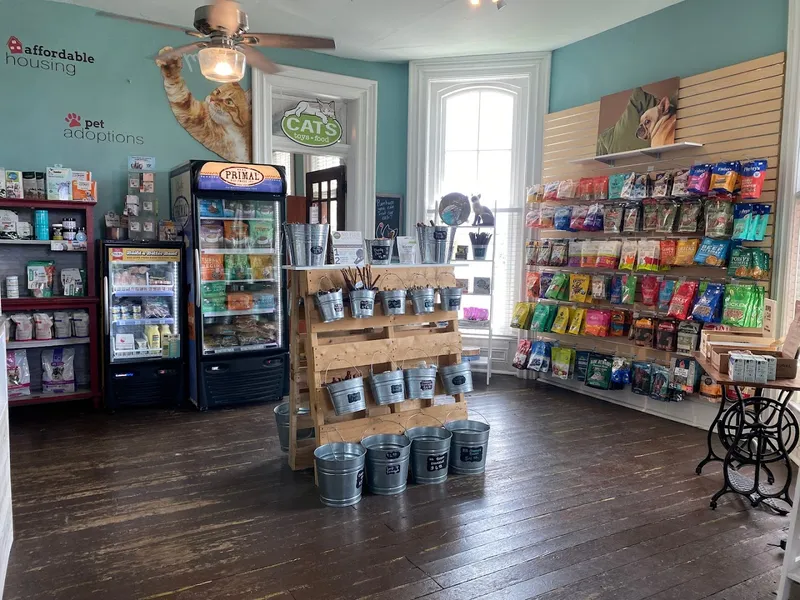 Crossroads Pets - Mobile cat grooming in Nashville, TN