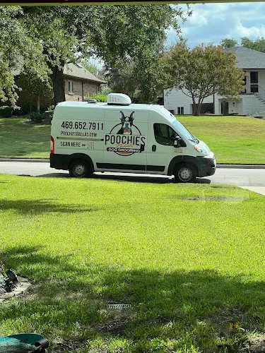 Poochies Mobile Pet Grooming - Cat grooming in Farmers Branch