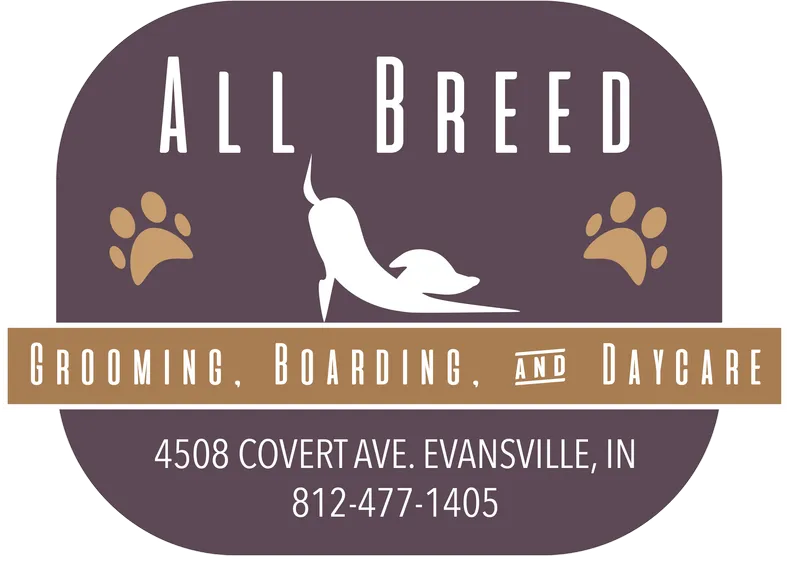 All Breed - Cat grooming in Evansville