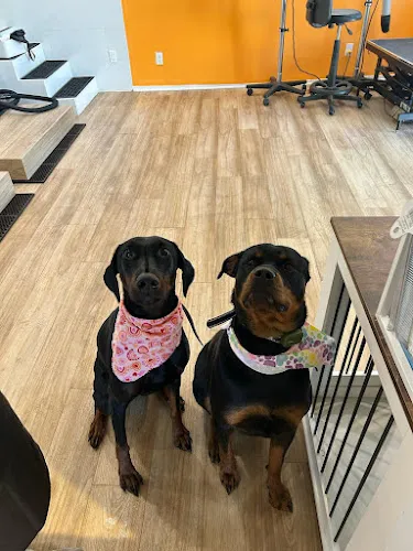 Pampered Pets Self Serve dog wash - Cat grooming in Fallbrook