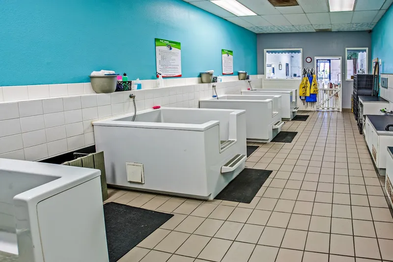 Dirty Paws Pet Wash - Cat grooming in San Diego