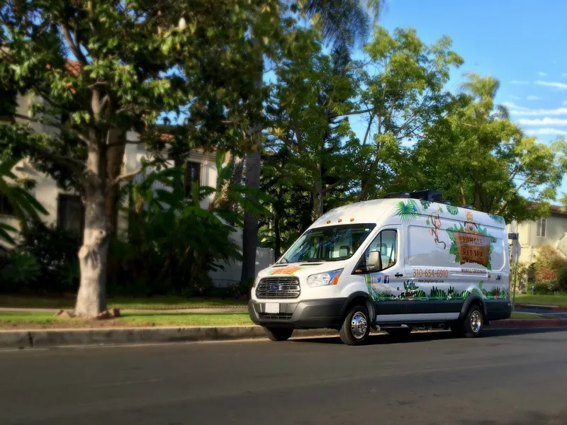 Jungle Pet Spa Mobile Pet Grooming Los Angeles - Cat grooming in Los Angeles