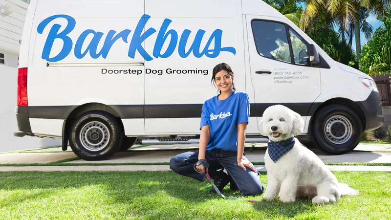 Barkbus Mobile Dog Grooming - Cat grooming in Los Angeles
