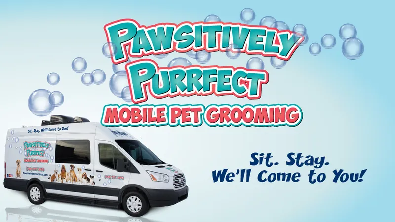 Pawsitively Purrfect Mobile Pet Grooming - Cat grooming in San Diego