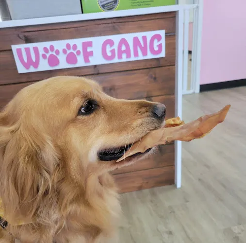 Woof Gang Bakery & Grooming East Boca Raton - Cat grooming in Boca Raton