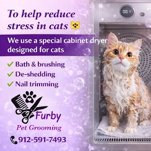 Furby Pet Grooming LLC - Cat grooming in Richmond Hill